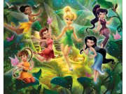 3D Fototapeta Walltastic Fairies 41325 | 305x244 cm Fototapety skladem