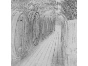 Fototapeta Sudy s vínem černobílá kresba L-328 L-328 | 220x220 cm Fototapety