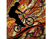 Fototapeta Červený cyklista L-423 | 220x220 cm Fototapety