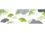 Fototapeta Listy na bílém pozadí M-321 | 330x110 cm Fototapety