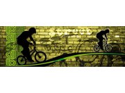 Fototapeta Zelený cyklista M-388 | 330x110 cm Fototapety