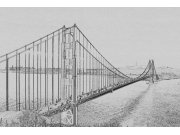 Fototapeta Golden Gate černobílá kresba XL-301 | 330x220 cm Fototapety