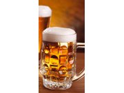 Samolepící Fototapeta na dveře DL025 Beer Fototapety