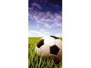 Samolepící Fototapeta na dveře DL026 Soccer ball Fototapety