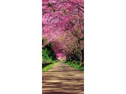 Samolepící Fototapeta na dveře DL056 Alej Fototapety