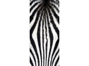 Samolepící Fototapeta na dveře DL060 Zebra Fototapety