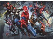 Fototapeta AG Spiderman FTDM-0751 | 160x115 cm Fototapety