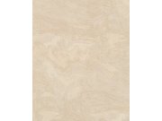 Tapeta v imitaci betonu Allure 59415 Marburg