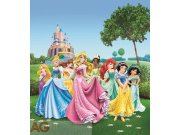 Fototapeta AG Princezny na louce FTDNXL-5112 | 180x202 cm Fototapety