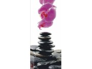 Fototapeta AG Kameny and Orchidej FTV-0215 | 90x202 cm Fototapety skladem