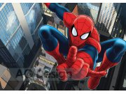 Fototapeta AG Spiderman FTDS-2209 | 360x254 cm Fototapety