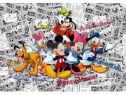 Fototapeta AG Mickey Mouse FTDS-2225 | 360x254 cm Fototapety