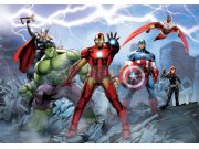 Fototapeta AG Avengers FTDS-2230 | 360x254 cm Fototapety