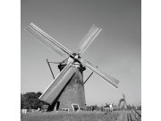 Fototapeta Větrný mlýn šedý L-312 L-312 | 220x220 cm Fototapety