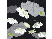 Fototapeta Listy na černém pozadí L-334 | 220x220 cm Fototapety