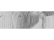 Fototapeta Sudy s vínem černobílá malba M-310 | 330x110 cm Fototapety