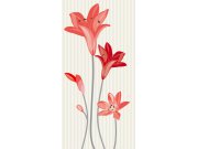 Fototapeta Červené květy s pruhy S-332 | 110x220 cm Fototapety