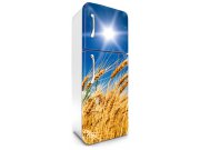 Fototapeta na lednice Pole pšenice FR-180-030 Fototapety