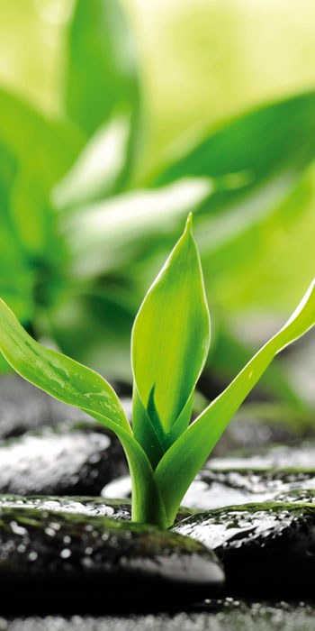 Samolepící podlahové fototapety