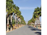 Fototapeta Promenáda v Limassol L-149 | 220x220 cm Fototapety