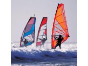 Fototapeta Surfaři L-176 | 220x220 cm Fototapety