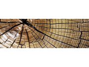 Fototapeta Dřevo M-144 | 330x110 cm Fototapety