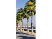 Fototapeta Promenáda v Limassol S-123 | 110x220 cm Fototapety