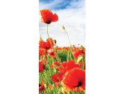 Fototapeta Červené vlčí máky S-166 | 110x220 cm Fototapety