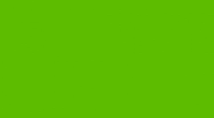 Samolepící folie světle zelená lesklá 200-1995 d-c-fix - Tapety samolepící