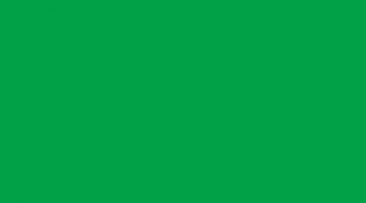 Samolepící folie zelená lesklá 200-2423 d-c-fix - Tapety samolepící