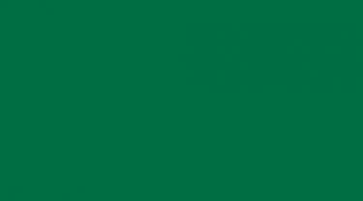 Samolepící folie tmavě zelená lesklá 200-2539 d-c-fix - Tapety samolepící