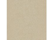 Tapeta Caselio Silence 62941015 Caselio