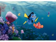 Fototapeta AG Nemo FTDNXXL-5061 | 360x270 cm Fototapety
