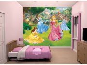 3D Fototapeta Walltastic Disney Princezny 43800 | 305x244 cm Fototapety