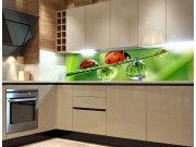 Samolepicí Fototapeta do kuchyně Ladybird KI-180-015 Fototapety