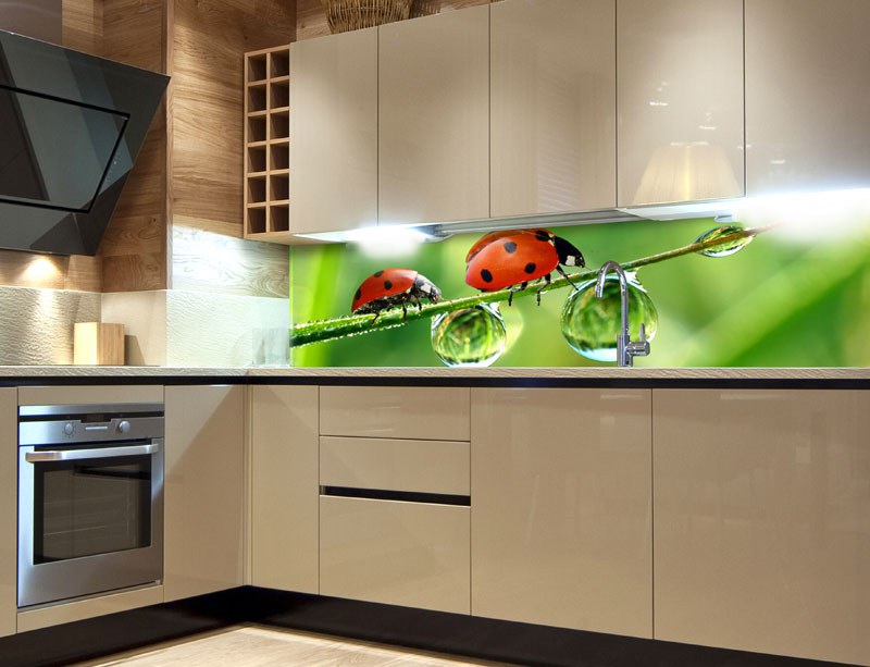 Samolepicí Fototapeta do kuchyně Ladybird KI-180-015 - Fototapety