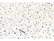 Samolepící folie Terrazzo neo 200-8347 d-c-fix Tapety samolepící