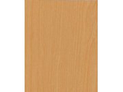 Samolepící fólie na dveře Buk světlý 99-6190 2,1 m x 90 cm Tapety samolepící
