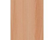 Samolepící fólie na dveře Jasan Florida 99-6195 2,1 m x 90 cm Tapety samolepící