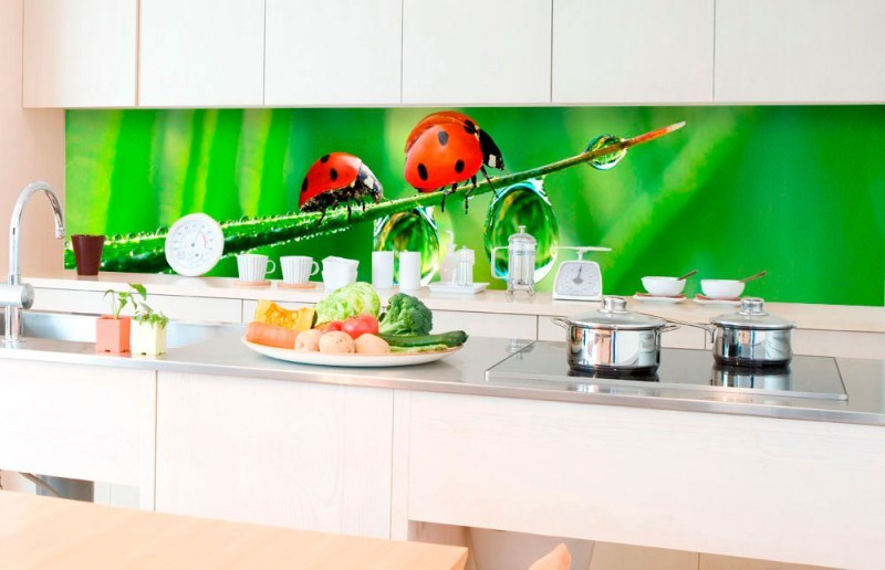 Fototapety - Samolepicí Fototapeta do kuchyně - Beruška KI-350-015 | 350x60 cm Samolepicí Fototapeta do kuchyně - Beruška KI-350-015 | 350x60 cm - Fototapety