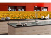 Samolepicí Fototapeta do kuchyně - Lány slunečnic KI-350-030 | 350x60 cm Fototapety