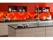 Samolepicí Fototapeta do kuchyně - Gerbera KI-350-059 | 350x60 cm Fototapety