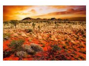 Fototapeta na zeď Austrálie | MS-5-0050 | 375x250 cm Fototapety