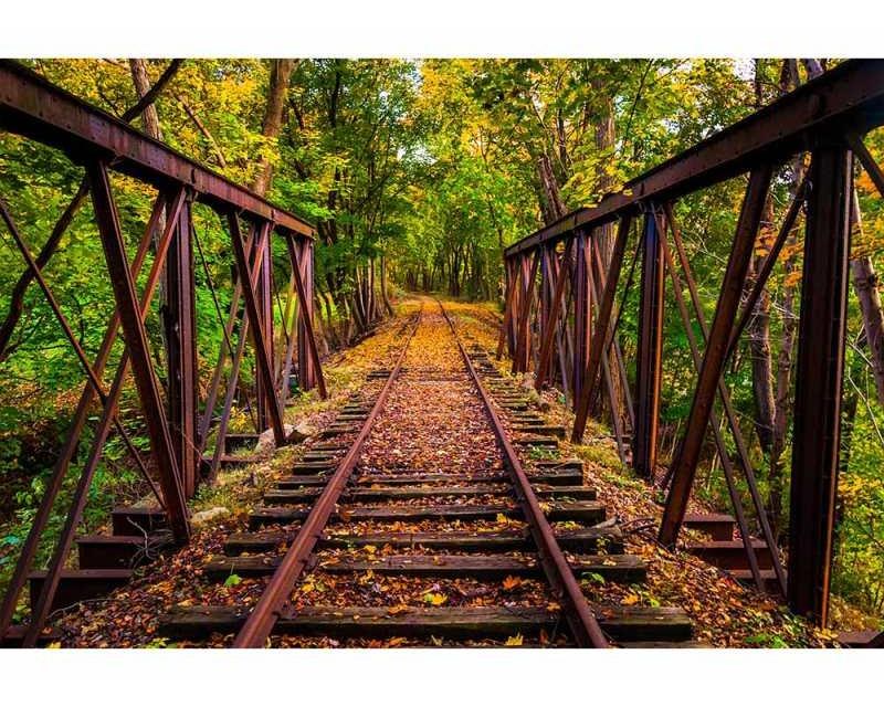 Fototapeta na zeď Železnice v lese | MS-5-0055 | 375x250 cm - Fototapety