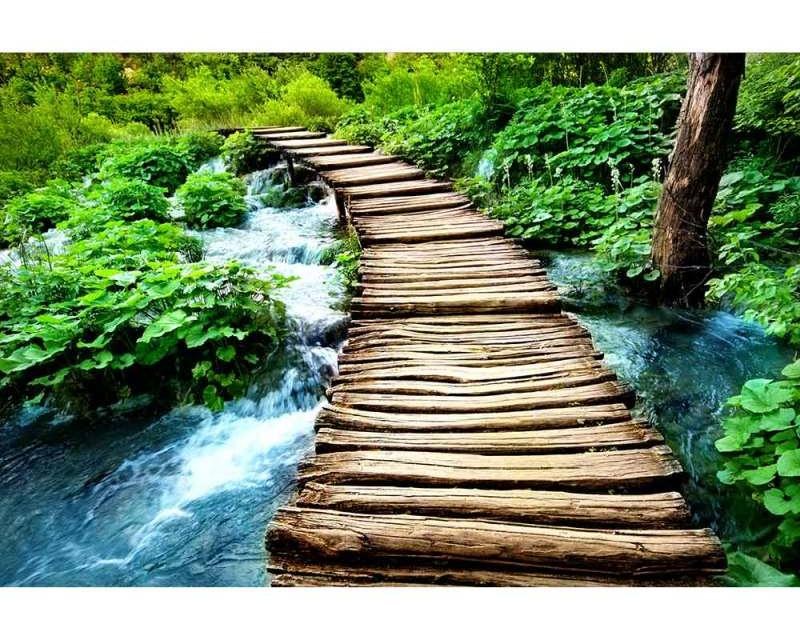 Fototapeta na zeď Dřevěná lávka | MS-5-0080 | 375x250 cm - Fototapety