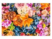 Fototapeta na zeď Sušené květiny | MS-5-0143 | 375x250 cm Fototapety