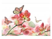 Fototapeta na zeď Motýli a orchideje | MS-5-0146 | 375x250 cm Fototapety