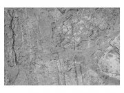 Fototapeta na zeď Betonová podlaha | MS-5-0173 | 375x250 cm Fototapety