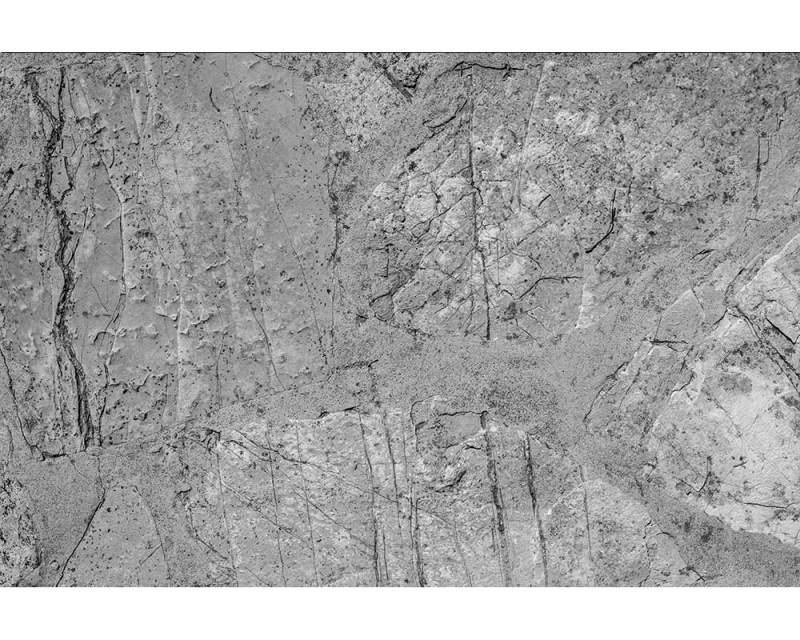 Fototapeta na zeď Betonová podlaha | MS-5-0173 | 375x250 cm - Fototapety