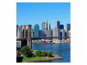 Fototapeta na zeď Brooklyn | MS-3-0001 | 225x250 cm Fototapety